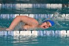 Swimming vs Babson  Wheaton College Swimming & Diving vs Babson College. - Photo By: KEITH NORDSTROM : Wheaton, Swimming